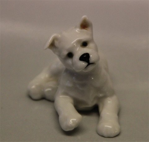 Hutchenreuther Germany Small puppy 6 x 8 cm