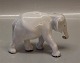 Royal 599 RC  Elephant Calf Th. Madsen  1904 17 x 17 cm White version