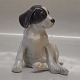 Royal Copenhagen figurine 
0206 RC Small pointer puppy EN 13 cm (Kleine Pointer Welpe )
