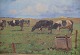 vare nr:
153836