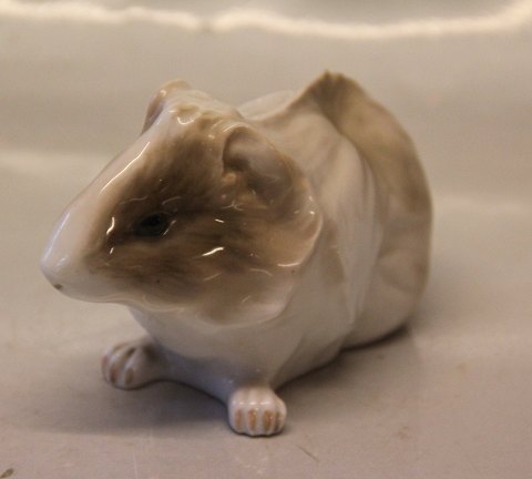 Royal Copenhagen figurine 0503 RC Guinea-pig 8 x 13 cm Design J.A. Heuch 1885