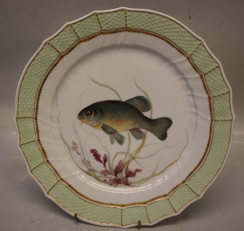 919-1710 Fish: Tench "Tinca Vulgaris" 25.5 cm Royal Copenhagen Fish Plate with 
Green Border
