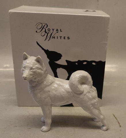 0353 Royal Whites Siberisk Husky/Spitz Grønlandsk hund 14 x 16 cm  (2670038)  
Design Pia Langelund Kongelig Dansk porcelæn
