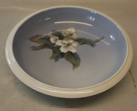 0053-2528 Kgl. Skål med frugtblomster på gren 21.5 cm Kongelig Dansk Porcelæn