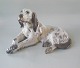 Dahl Jensen figurine
1187 English Setter lying (DJ) 27.5 cm