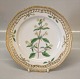 Flora Danica Danish Porcelain
20-3554 Galeopsis Ochroleuca Lauv. Stand for Small Round Fruit Basket/Pierced 
Lunch Plate New # 635. (From the year 1947) 9"