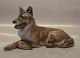 Royal Copenhagen figurine 1798 RC Belgian Shepherd Reclining 11 x 24 cm Peter 
Herold 1916 
