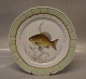 919-1710 Fish: Crucian carp "Cyprinus Carassius" 25.5 cm Royal Copenhagen Fish 
Plate with Green Border
