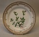 20-3550 "Cerastium viscosum L. (G. ovale Pers.)". Luncheon Plate New # 622 
8.75"(Dated 1969-74) Flora Danica Danish Porcelain