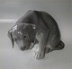 Royal Copenhagen figurine 0318 RC Labrador puppy "Bob"