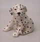 Royal Copenhagen figurine 1020 747 Dalmation "Spot"
