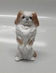 Royal Copenhagen figurine 1776 Standing Peke 12 cm. Designed Peter Herold 1916 
