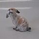 Dahl Jensen dog figurine 1120 Belgian griffon (DJ) 6.5 cm
